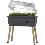 Gusta Garden Hochbeet Sammy Salad