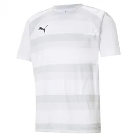 Puma teamVISION Trikot Herren white/glaciergray/black M