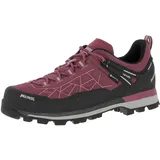 Damen Literock Free GTX Schuhe (Größe 37, pink)