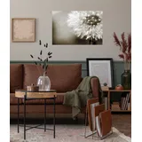 Queence Wandsticker QUEENCE "Lena", braun (sepia), B:120cm H:80cm T:0,1cm, Folie, Wandtattoos, Selbstklebend, kinderleichte Anbringung, Pusteblume, Sticker, beige