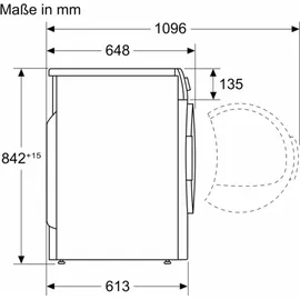 Bosch Serie 6 WQG233D40 Wärmepumpentrockner (8 kg)
