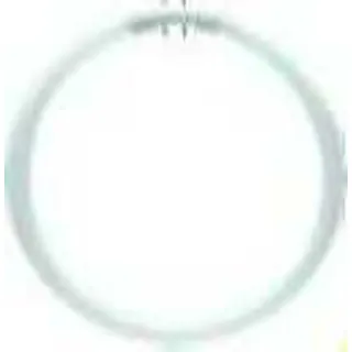 Philips Master TL5 Circular 22W/830 2GX13
