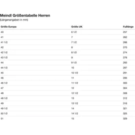 MEINDL Lite Trail GTX Herren Anthrazit/Rot 44,5