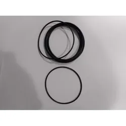 RE O-Ring-Dichtung Hera Condens 7626806