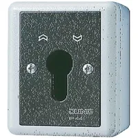 Jung Schlüsselschalter 806.28 G