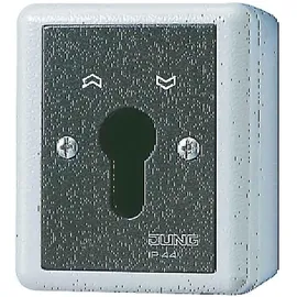 Jung Schlüsselschalter 806.28 G