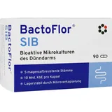 INTERCELL-Pharma GmbH BactoFlor SIB