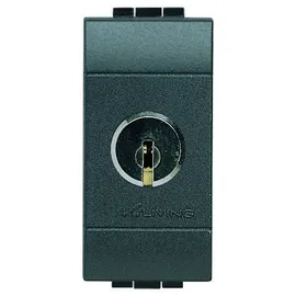 Legrand L4022 Schlüsselschalter Wechselkontakt gleiche Schließung Anthrazit