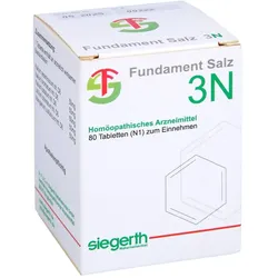 Fundament Salz III N