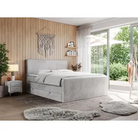 MKS Boxspringbett, KING DOREN 160/200 Hellgrau Velvet - H4