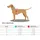 Hunter Divo Hundegeschirr Camouflage Beige M