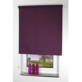 Liedeco Seitenzugrollo Uni 82 x 180 cm brombeere