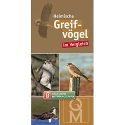 Bestimungskarten Heimische Greifvögel