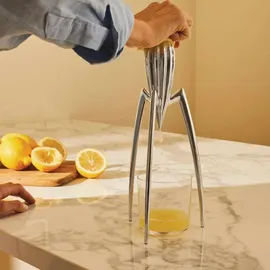 Alessi Juicy Salif