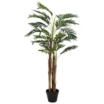 Europalms Areca Palme, 110cm