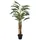 Europalms Areca Palme, 110cm