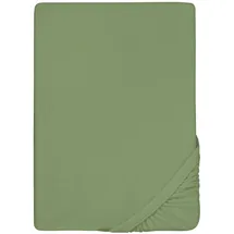 biberna 0012344 Frottee-Stretch 180 x 200 - 200 x 200 cm fichte