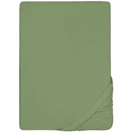 biberna 0012344 Frottee-Stretch 180 x 200 - 200 x 200 cm fichte