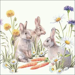 20 Servietten Papier 33x33cm 3-lagig - hochwertige Einweg Papierservietten Osterdeko Frühling Gartenparty Hasen Blumen Natur Tischdeko