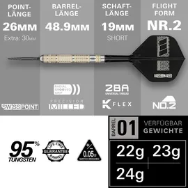 Target Darts Dimitri van den Bergh 95K Steeldarts 23 g