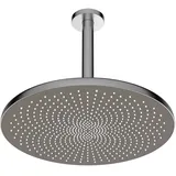 Hansa Aurelia Kopfbrause (4727030080)