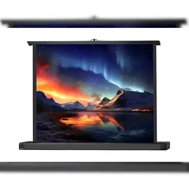 Celexon Professional Mini Screen 81x61cm 4:3