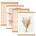 Posterschiene magnetisch B2 50x70 50cm 4 Packungen