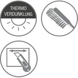 GARDINIA Plissee Concept Thermo 90 x 130 cm schwarz