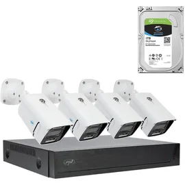 PNI House IPMAX POE 3LR Videoüberwachungskit-Paket, NVR mit 4 POE-Ports, und 4 Kameras mit 3 MP, Chiperkennung, Bewegungserkennung, 4 Kabel, Netzteil, Maus mit 1 TB HDD enthalten