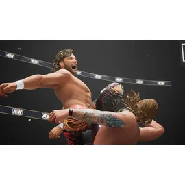 AEW: Fight Forever (PEGI) (PS5)