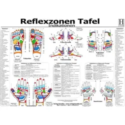 Reflexzonen Tafel - Indikationen - A3 (laminiert)