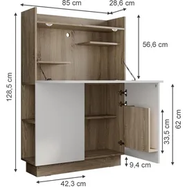 Vicco Schreibtischschrank Büroschrank Aktenschrank Computertisch Sekretär