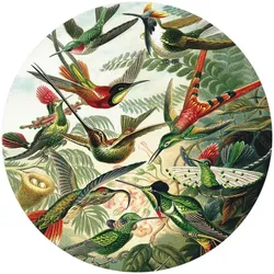 K&L Wall Art Vliestapete »Runde Vliestapete«, Haeckel Kolibris Nostalgische, mehrfarbig, matt - bunt