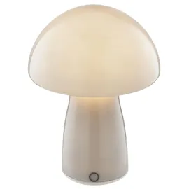 Lightbox LED Akku Pilzleuchte aus Glas, 250 lm, 2700 K, H 22 cm, dimmbar, grau - Grau