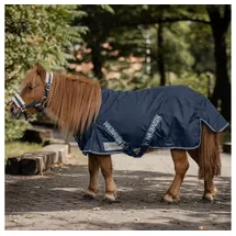 Waldhausen Shetty-Regendecke 100g (70cm) Blau