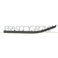 PRASCO BM0441246