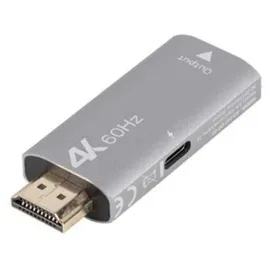LANBERG HDMI zu DisplayPort Adapter 4K grau/Silber