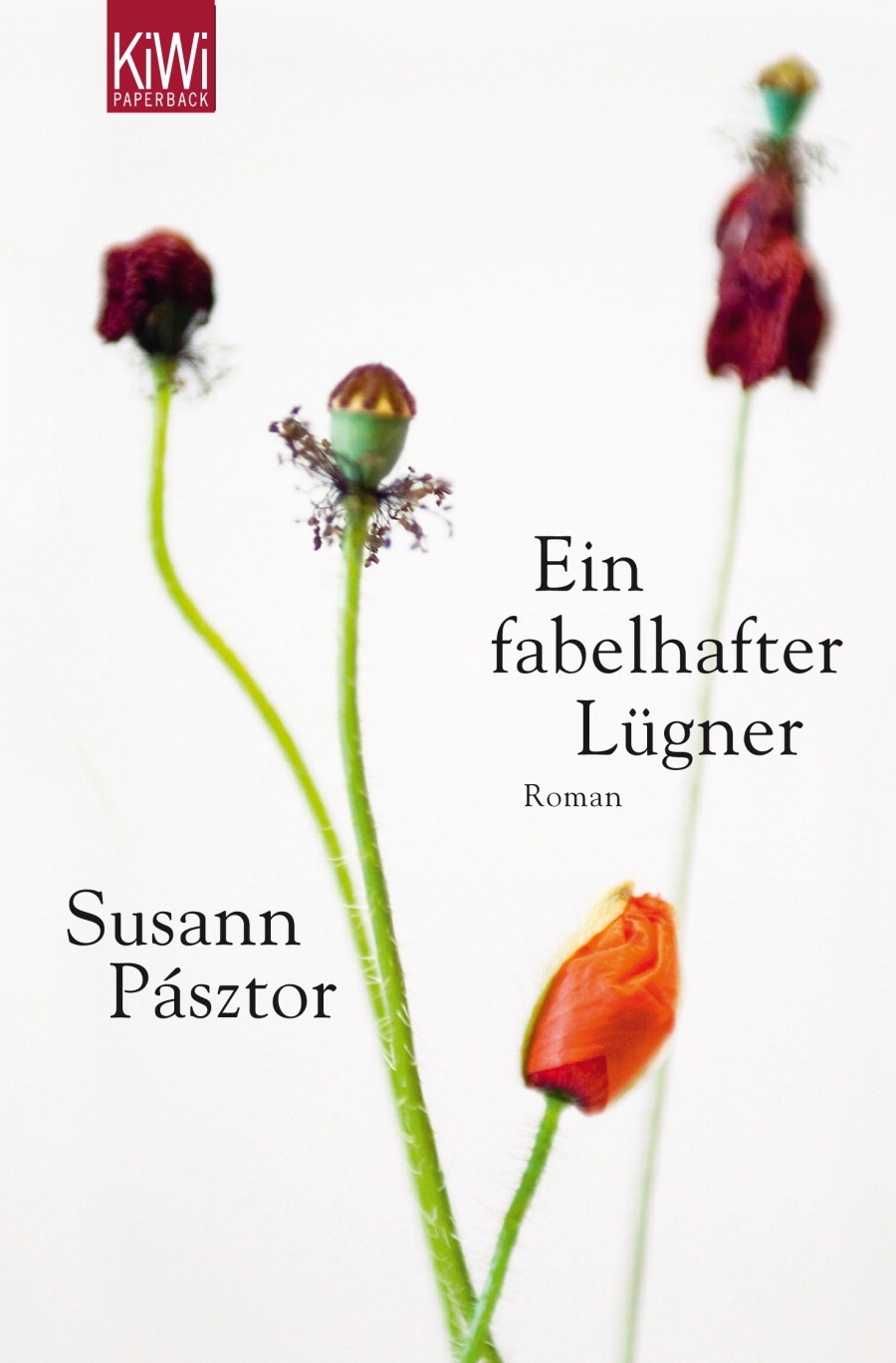 Ein Fabelhafter Lügner - Susann Pásztor  Taschenbuch