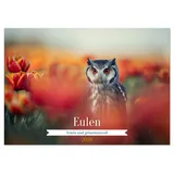 Calvendo Eulen - schön und geheimnisvoll (Tischkalender 2026 DIN A5 quer), CALVENDO Monatskalender: Faszinierende Eulen in einzigartigen Bildern (CALVENDO Tiere)