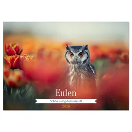 Calvendo Eulen - schön und geheimnisvoll (Tischkalender 2026 DIN A5 quer), CALVENDO Monatskalender: Faszinierende Eulen in einzigartigen Bildern (CALVENDO Tiere)