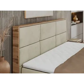 MKS Meble Albero-2 200 x 200 cm H4 Beige