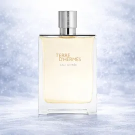 Hermès Terre d'Hermès Eau Givrée Eau de Parfum refillable 175 ml