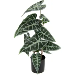 I.GE.A. Kunstpflanze »Calathea«, Kunst-Pflanze Seidenblumen ZimmerpflanzeZebrina Alocasia Sanderiana I.GE.A. grün