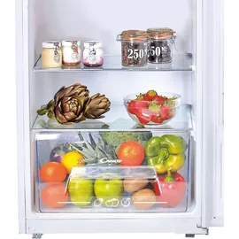 Candy CIO 225 EE/N Einbaukühlschrank (179 l, 1221 mm hoch)