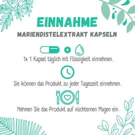 Sinoplasan Mariendistel Extrakt 500 mg Kapseln 120 St.