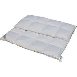 Betten Hofmann White Sibiria Schneegänseflaum Daunendecke mit Außensteg 6x7 240x220 cm - Weiß