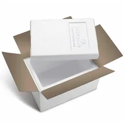 VEPATIM 24x Isolierboxen mit Deckel aus rEPS 330 x 225 x 225 mm 7,3 Liter inkl. Umkarton