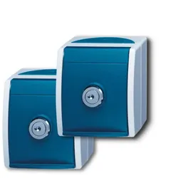Busch-Jaeger 20/20 EWSL-53 20/20 EWSL-53 2Stk.. SCHUKO® Steckdosen