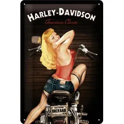 Blechschild Harley-Davidson