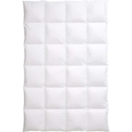 Centa-Star AMBIENTE warm